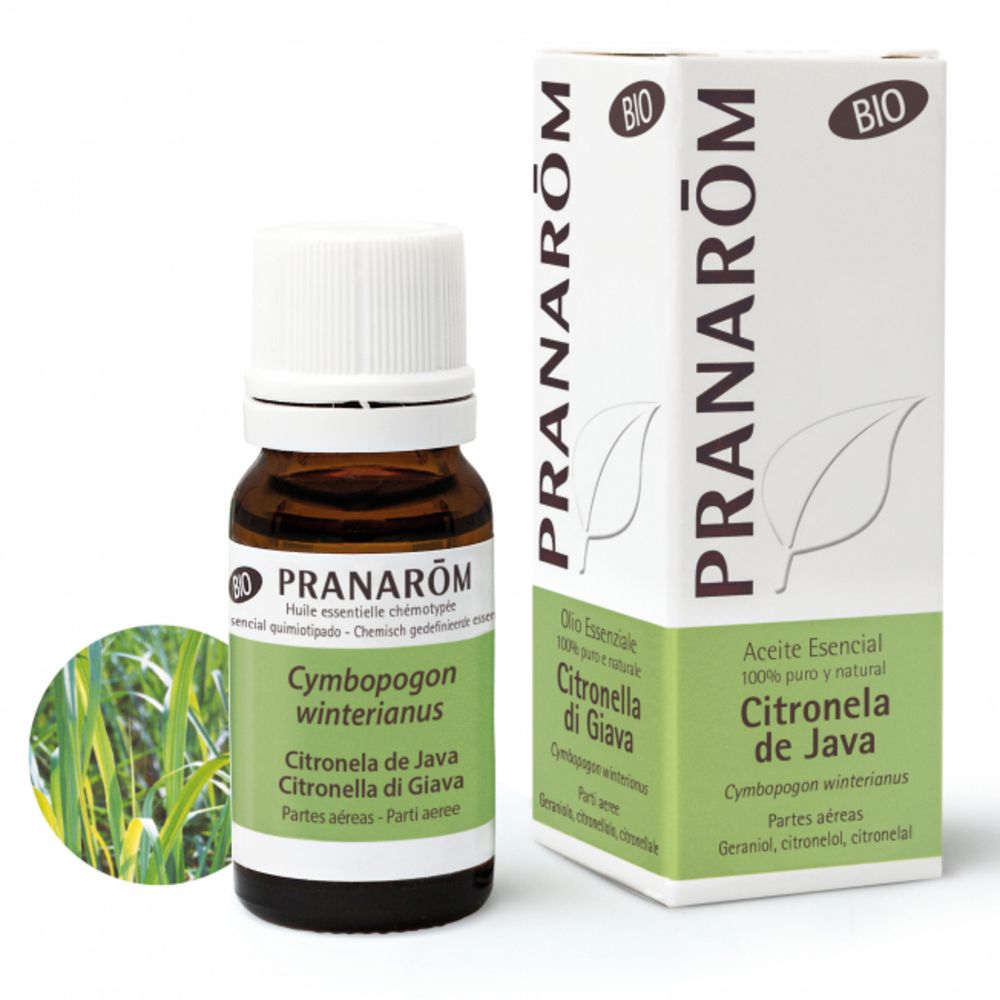 Pranarom Olio Essenziale Citronella di Giava Parti Aeree