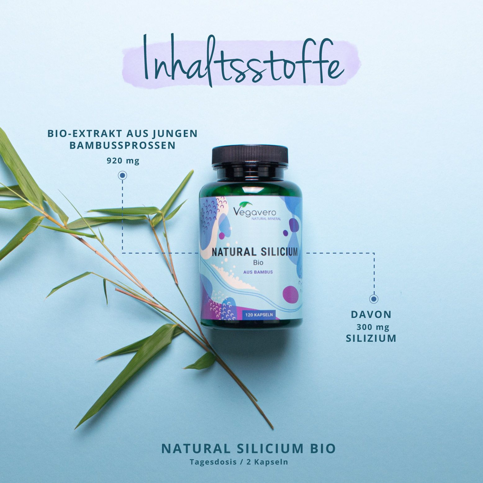 VEGAVERO Silicio Naturale BIO